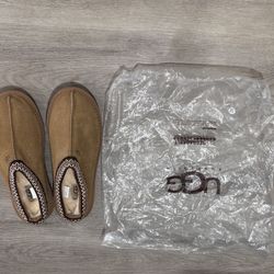 Tasman Chestnut Uggs Women Size 8 Brand New