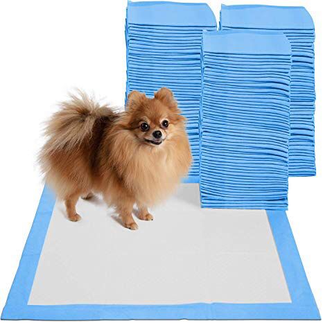 New in box 200pcs 24x24 inches pet wee pee piddle pad pet house training pads