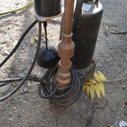 Dayton Sump Pump