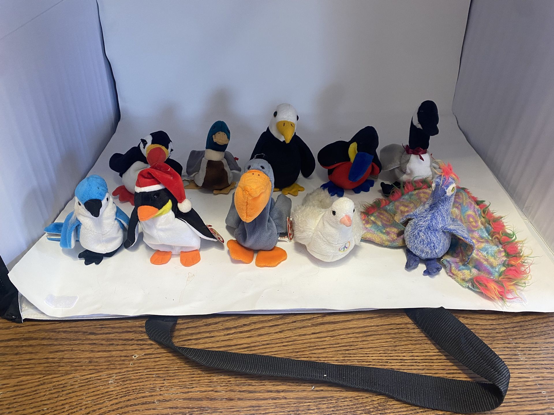 Lot Of 10 TY Beanie Babies Assorted Birds Excellant Cond