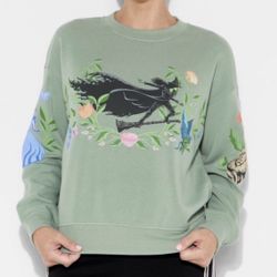 Women's Extra Small Wicked: For Good Fleece Graphic Sweatshirt Sage Green NWT XS And Other Sizes 