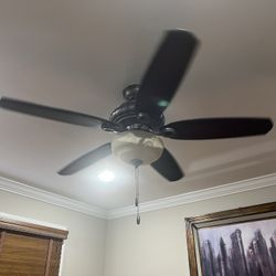 Hunter's  Fan 52 Inches 