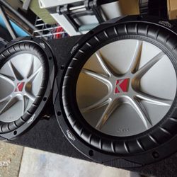 Kicker 10" Subwoofers + Box