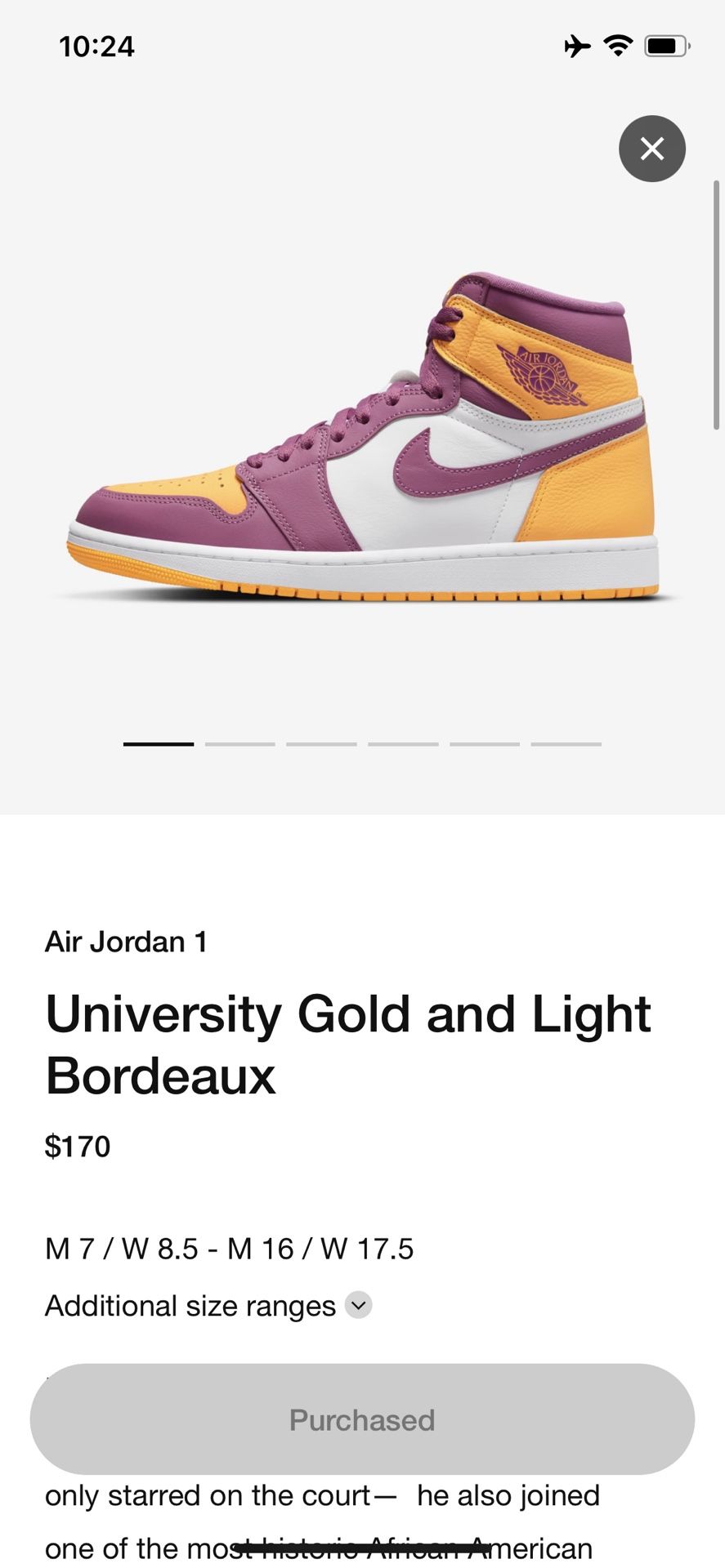 Air Jordan 1 Retro - “Brotherhood” - Size 9 (M)