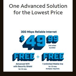 Internet Para Tú Negocio $49.99