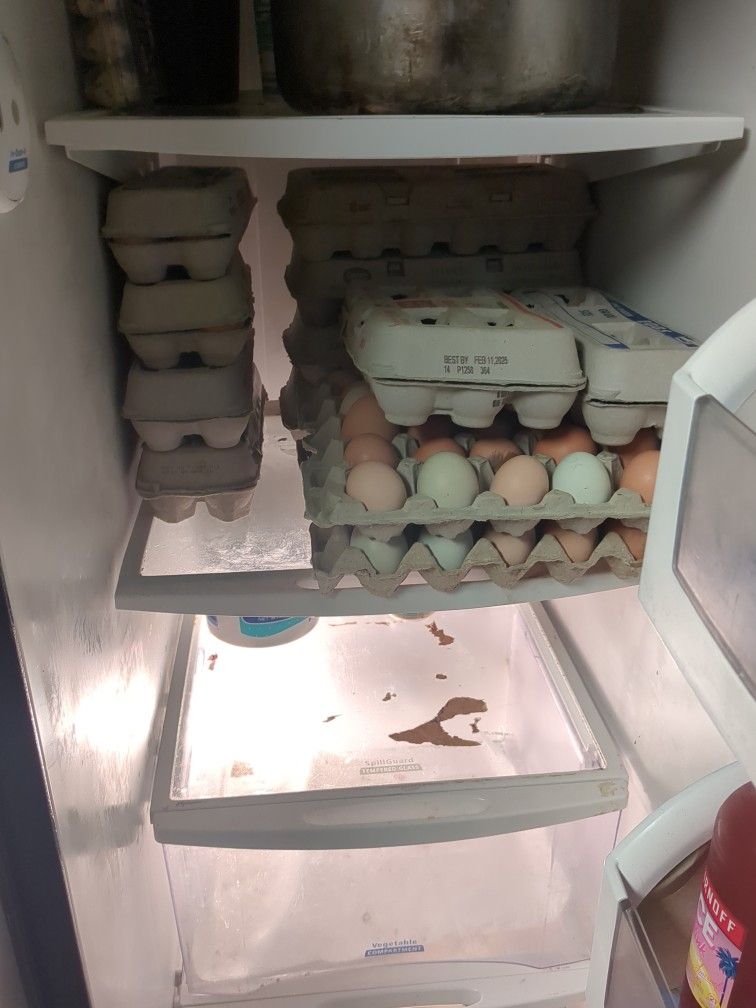 Chicken And Duck Eggs (Look At Details)
