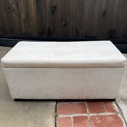 Trunk Storage 