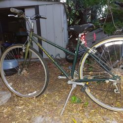 Raleigh  C-40