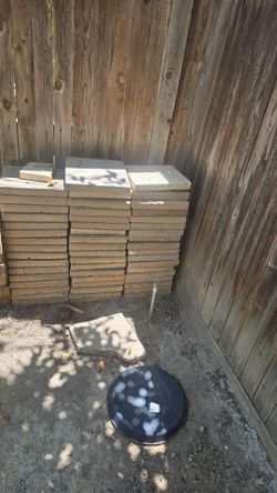 Backyard step stones