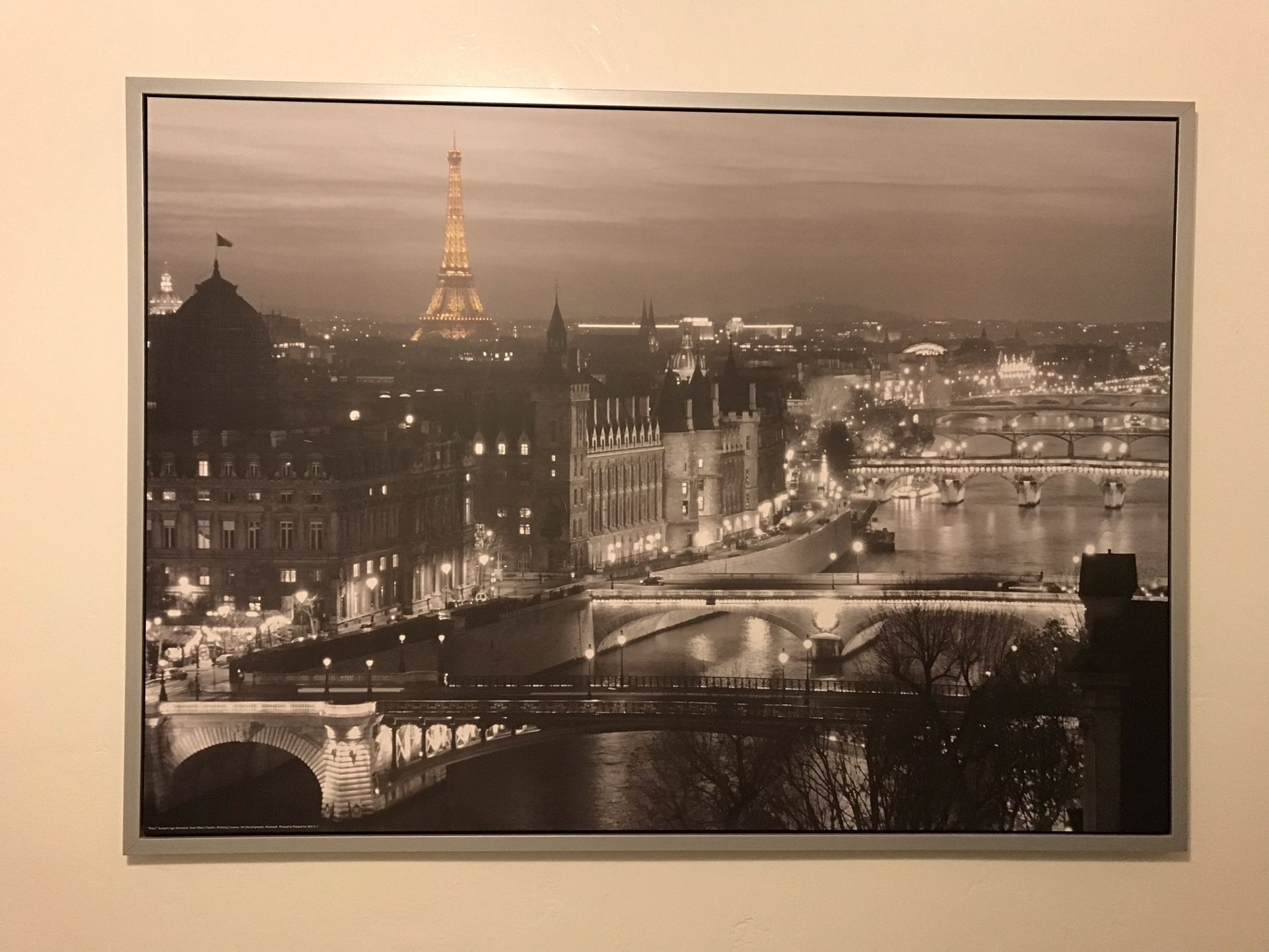 Large Jean-Marc Charles "Paris" Canvas IKEA Print