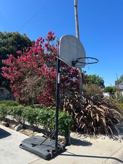 Basketball hoop