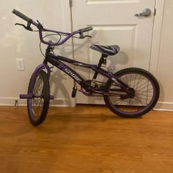 Purple Bike 