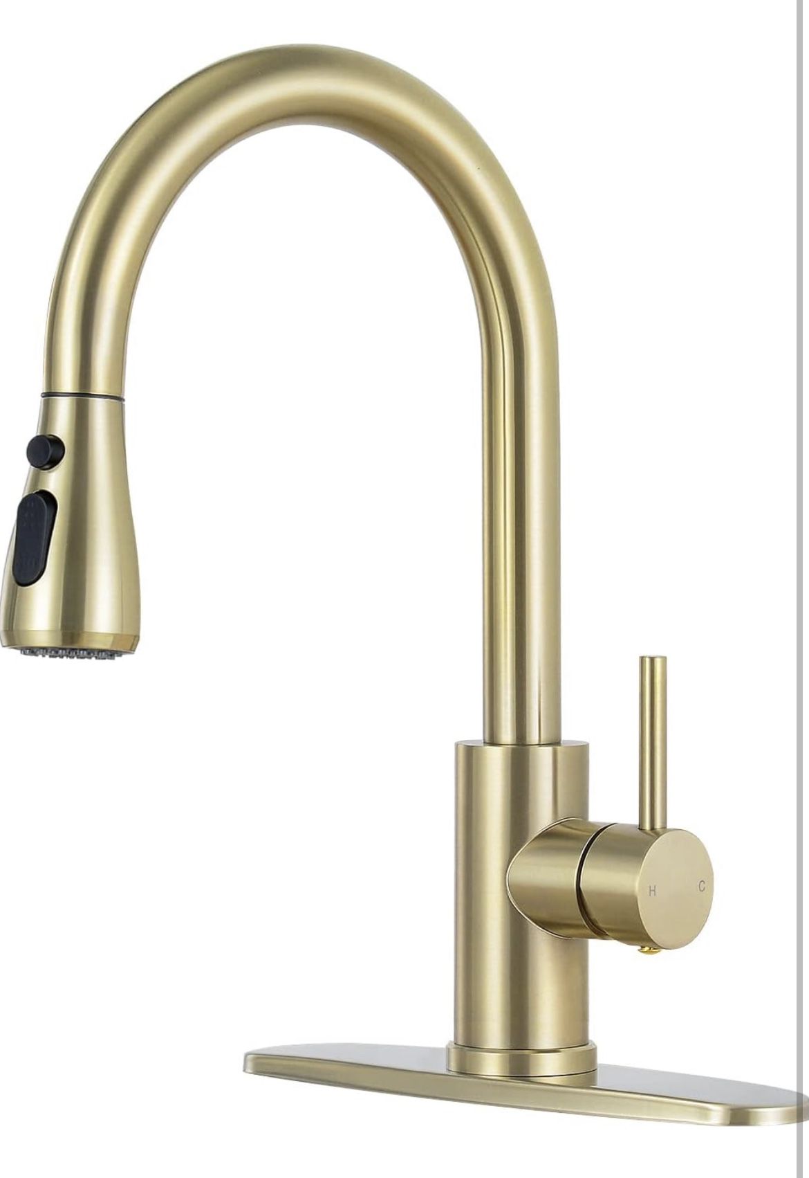 Gold Kitchen Faucet with Pull Down Sprayer, Single Handle RV Kitchen Sink Faucet with Pull Out Sprayer