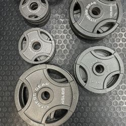 Fitness Gear Metal Weights Olympic