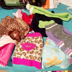 6 Small Dogs Clothes 