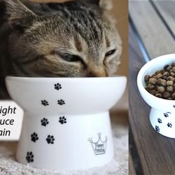 🐾 Ceramic Elevated Cat/Dog Food/Water Bowls 🐾