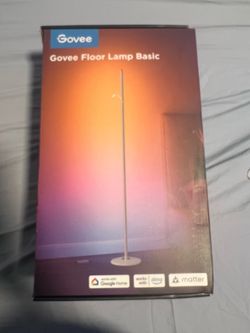 Govee floor lamp Basic