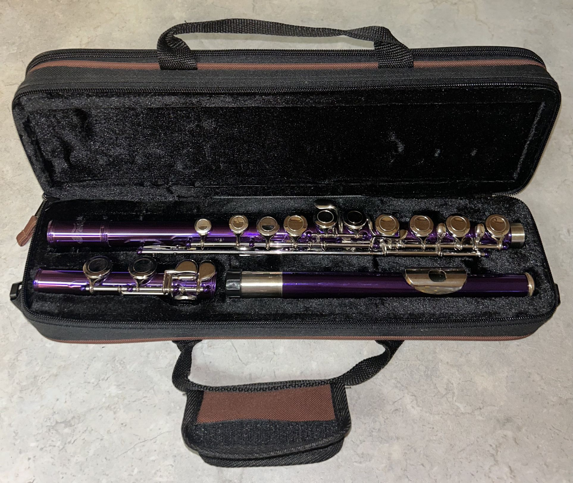 Eastar C 16-key Closed Hole Purple Beginner Student Flute W/Case & Accessories