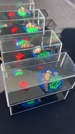 3D Printed Otter Habitat 