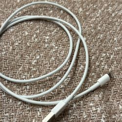 Apple Lightning to USB Cable