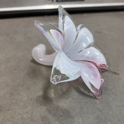 Glass Tulip 