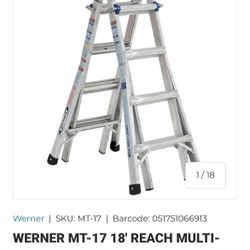 Werner Ladder 