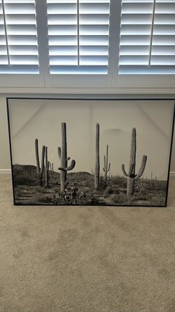 Black & White western frame