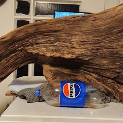 Wood pieces for taxidermy fish birds e t c