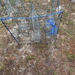Crab Traps