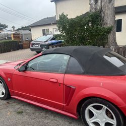 Mustang 1999