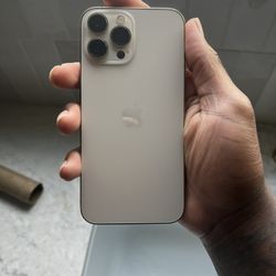 iPhone 13 Pro Max Unlocked