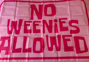 SpongeBob No Weenies Allowed Pink Novelty Flag Banner