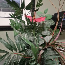 Red Flower With Foliage 