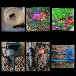 Aquarium Stuff