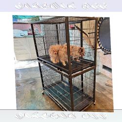 Pet Cages in Various Sizes to Match Every Animal learn this