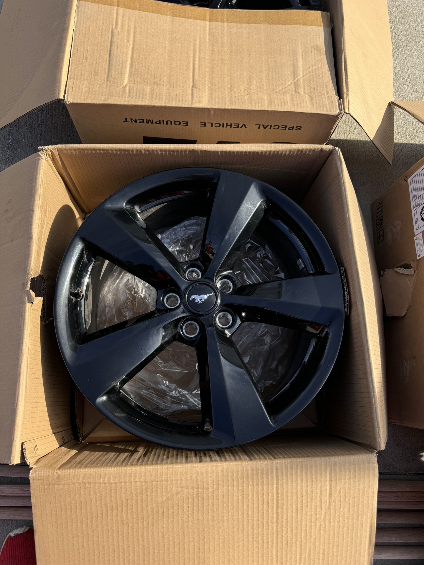 Mustang Gt Black Accent Wheels