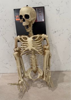 3FT 💀Halloween Posable SKELETON