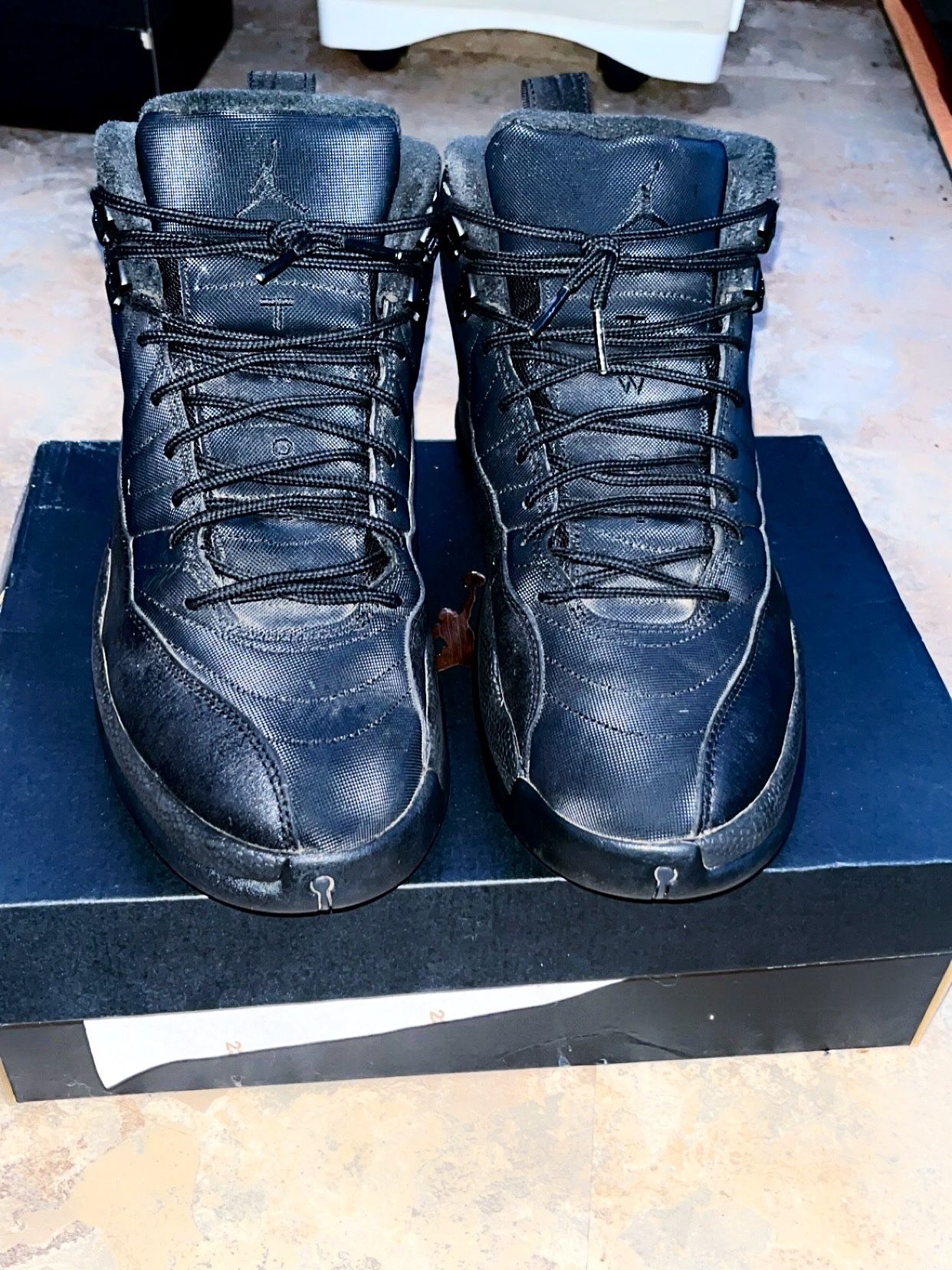 Jordan 12 Winterized