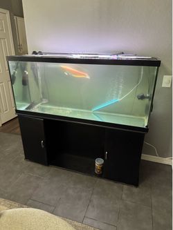125 GALLONS FISH TANK AND STAND