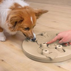 Interactive treat / food puzzle for Dogs