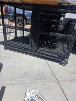 Kennel