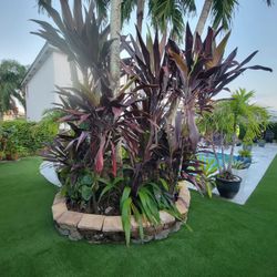 Artificial Grass / Pool Deck 