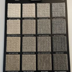 New Carpet 