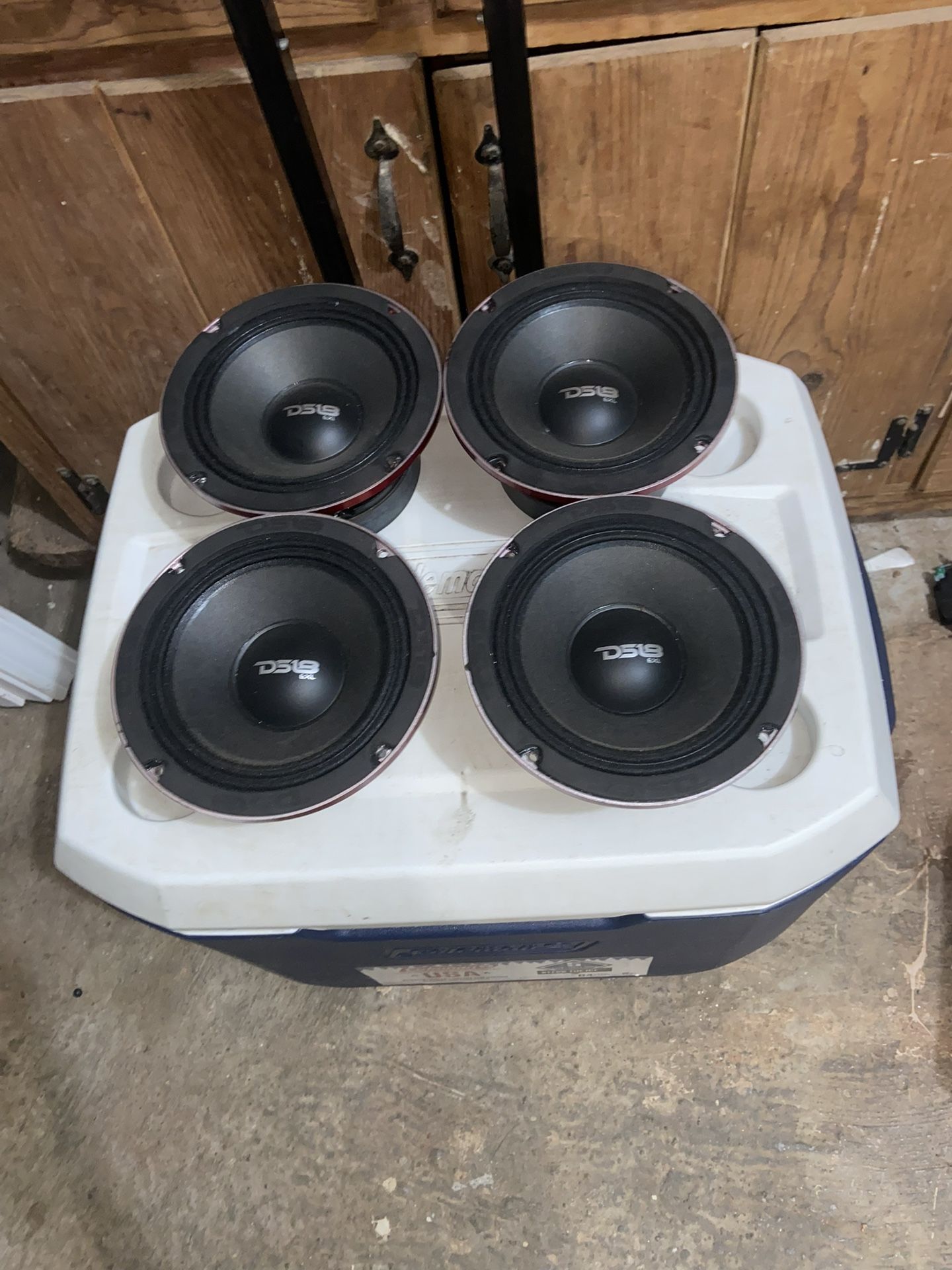Ds18 6.5 Speakers