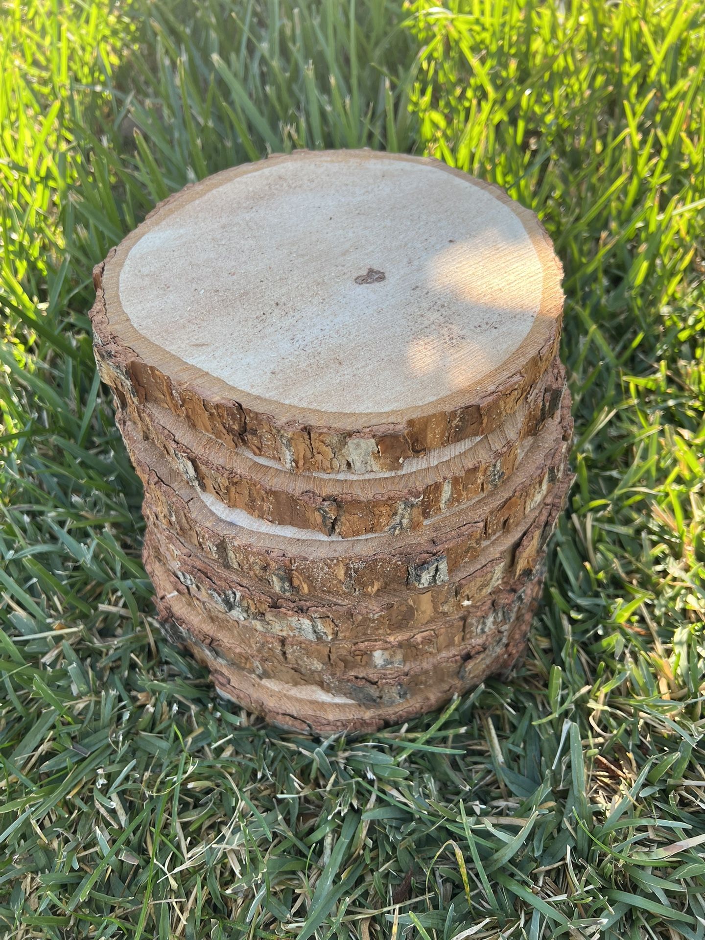 Wood Slices (Center Pieces)