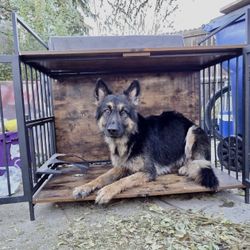 Wood Top Dog Kennel