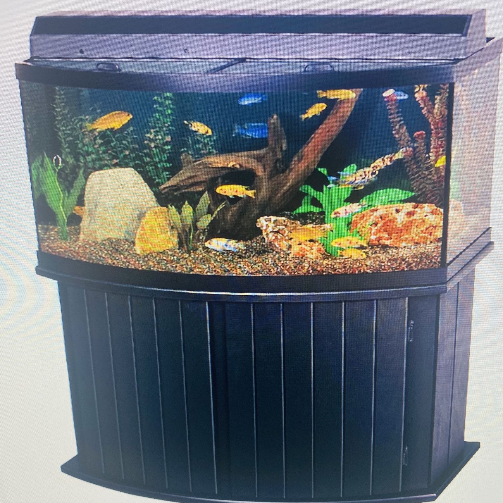 72 Gallon Bow Front Aquarium for Sale in Queens NY OfferUp