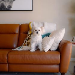 Scandinavian Designs Regine Power Recline Sofa