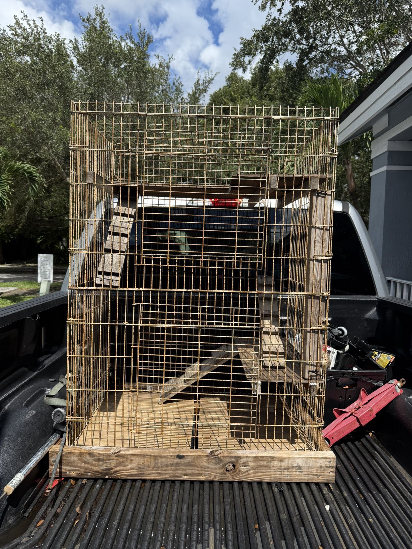 Pigeon / Bird cage