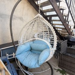 Free Hanging Egg Chair 